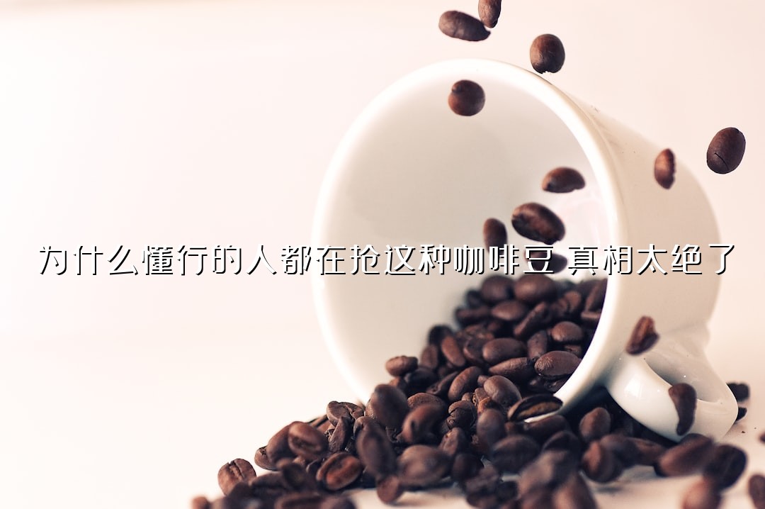 为什么懂行的人都在抢这种咖啡豆？真相太绝了