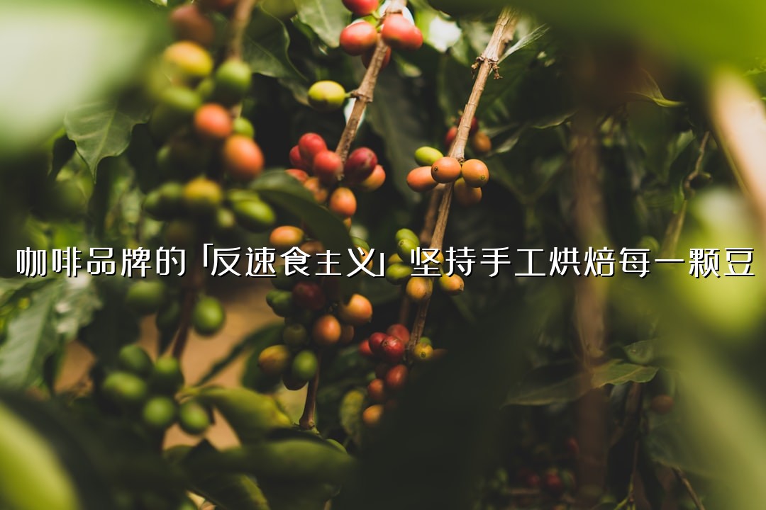 咖啡品牌的「反速食主义」：坚持手工烘焙每一颗豆