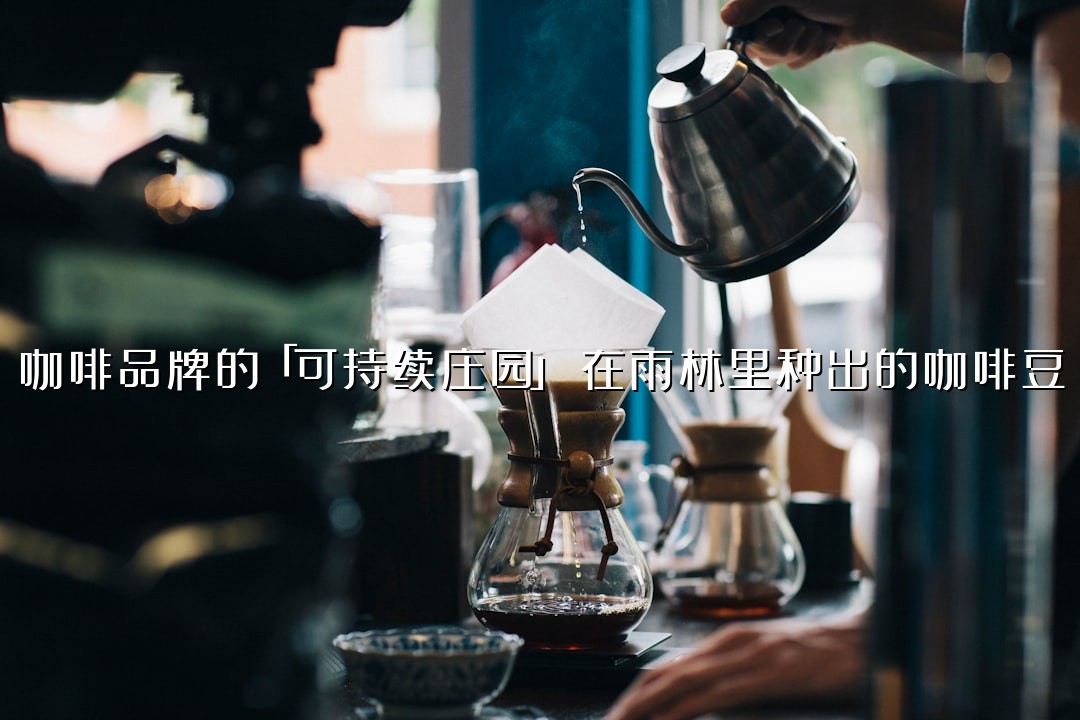 咖啡品牌的「可持续庄园」：在雨林里种出的咖啡豆