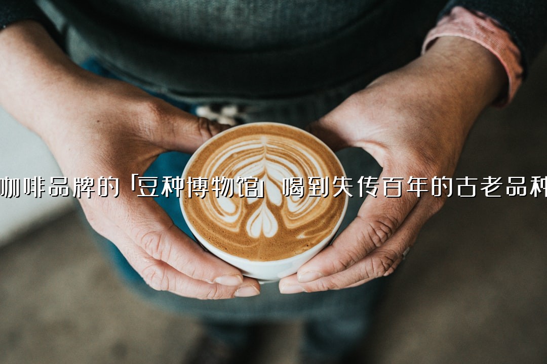 咖啡品牌的「豆种博物馆」：喝到失传百年的古老品种