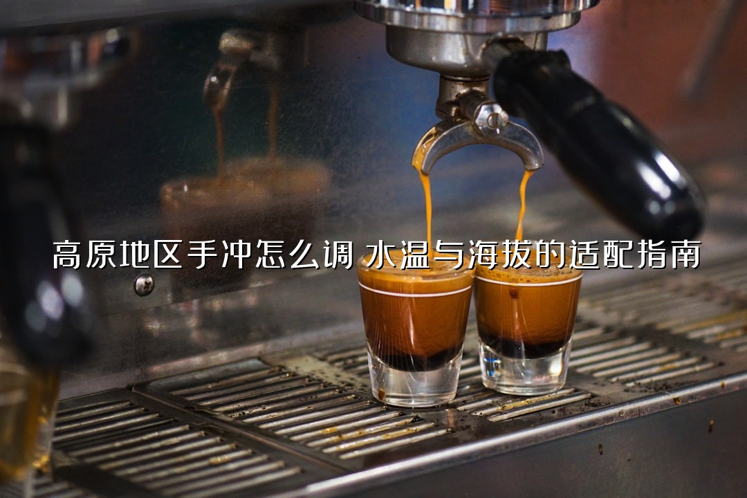 高原地区手冲怎么调？水温与海拔的适配指南