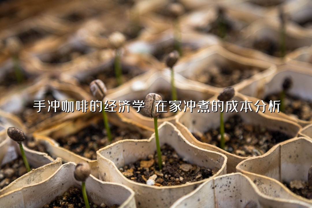 手冲咖啡的经济学 在家冲煮的成本分析