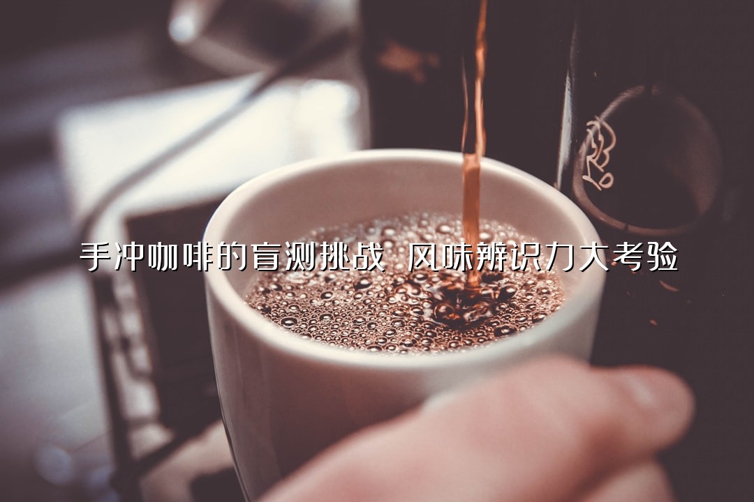手冲咖啡的盲测挑战 风味辨识力大考验