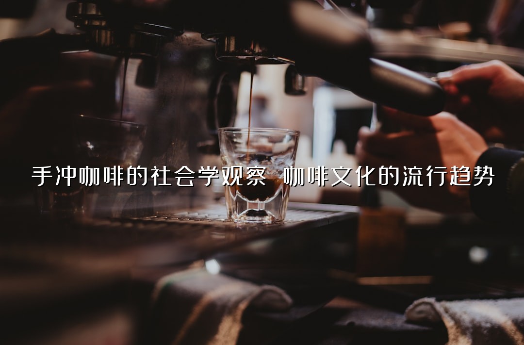 手冲咖啡的社会学观察 咖啡文化的流行趋势