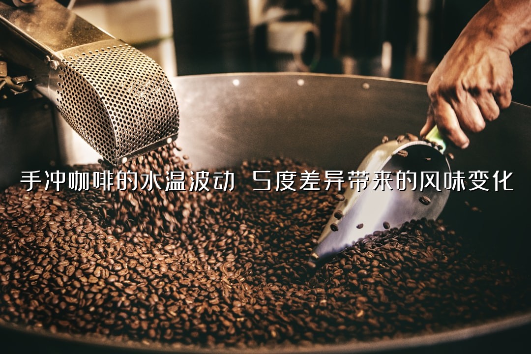 手冲咖啡的水温波动 5度差异带来的风味变化