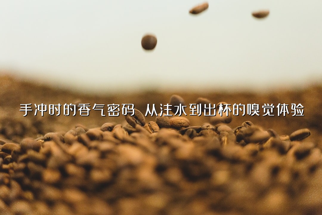 手冲时的香气密码 从注水到出杯的嗅觉体验