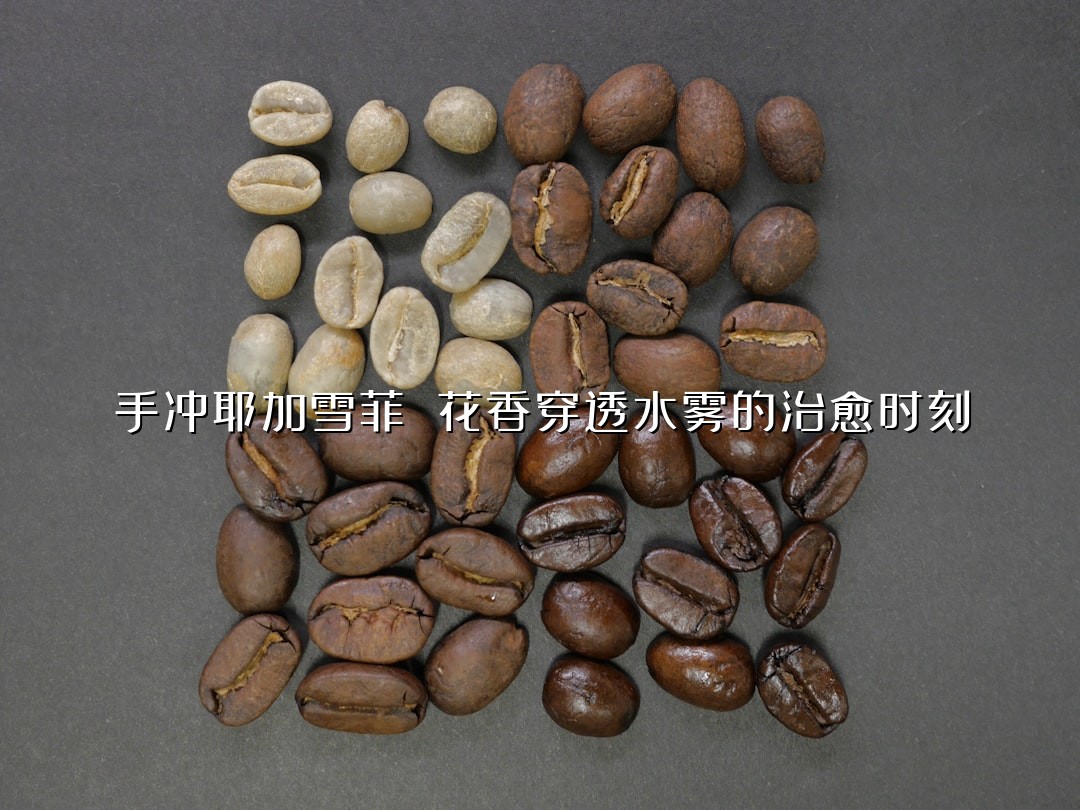 手冲耶加雪菲 花香穿透水雾的治愈时刻