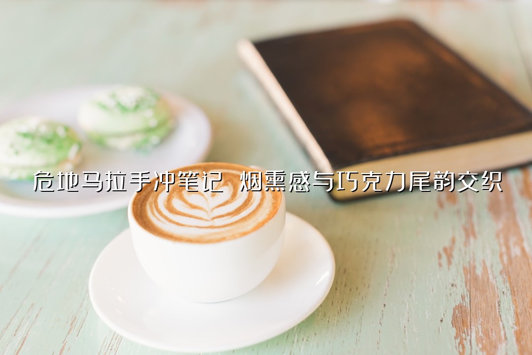 危地马拉手冲笔记 烟熏感与巧克力尾韵交织