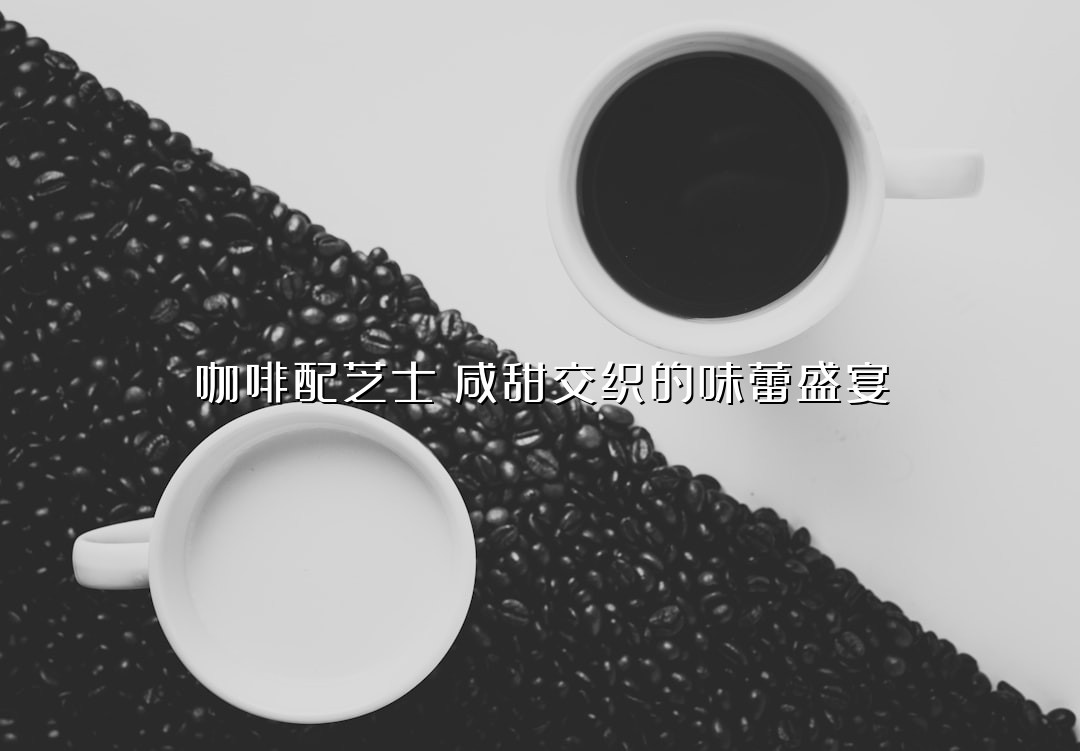 咖啡配芝士：咸甜交织的味蕾盛宴