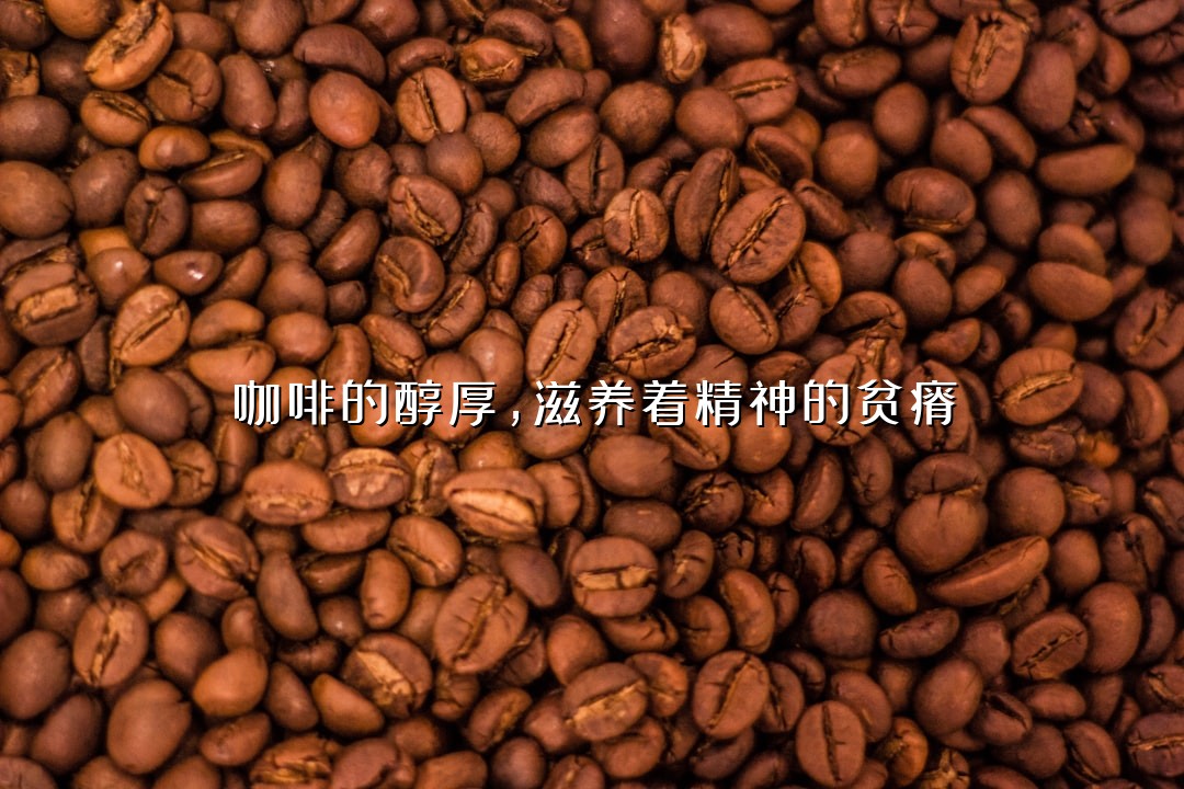咖啡的醇厚，滋养着精神的贫瘠