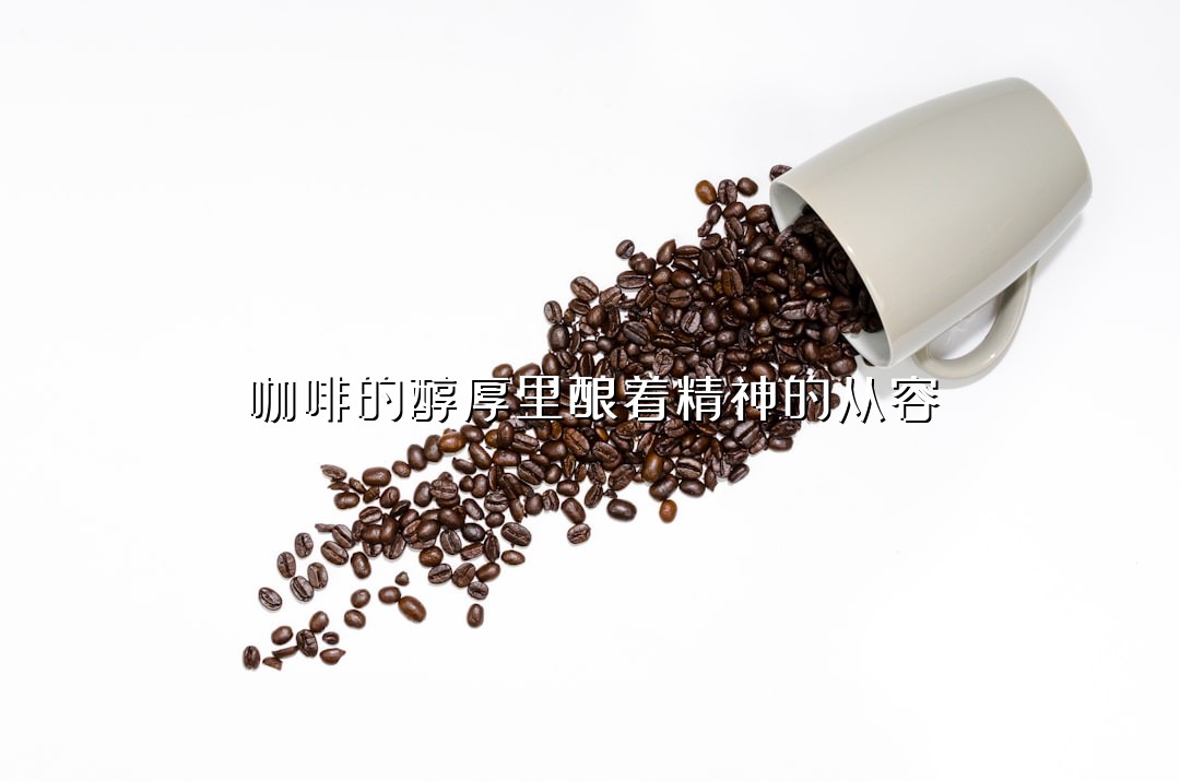 咖啡的醇厚里酿着精神的从容