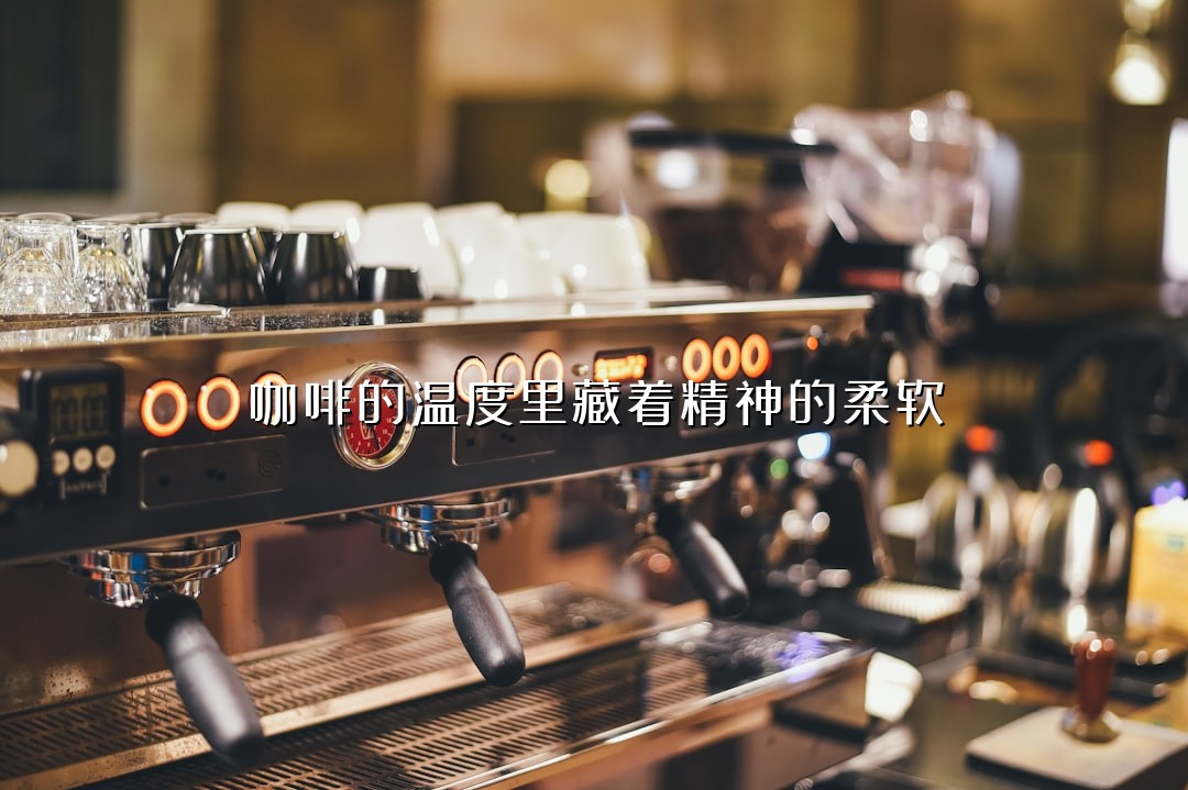 咖啡的温度里藏着精神的柔软