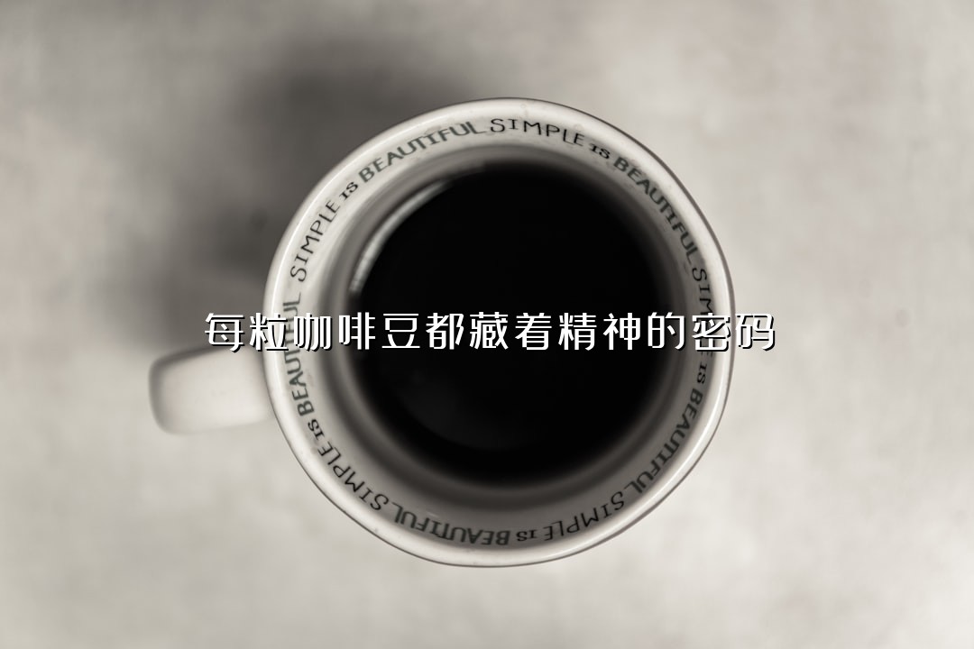 每粒咖啡豆都藏着精神的密码