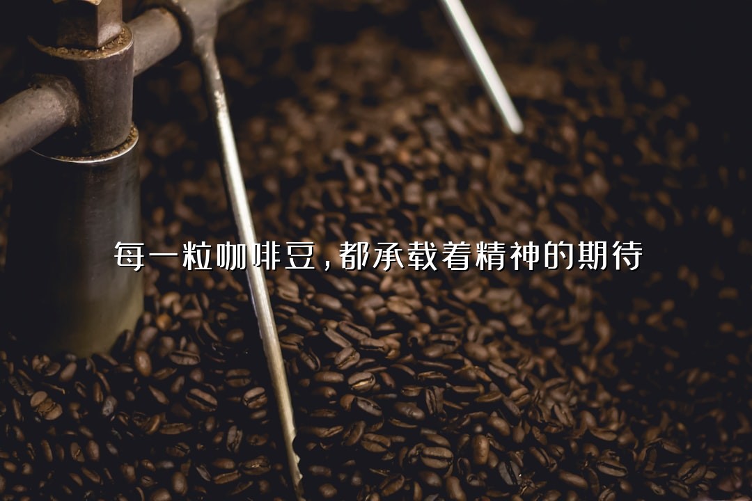 每一粒咖啡豆，都承载着精神的期待