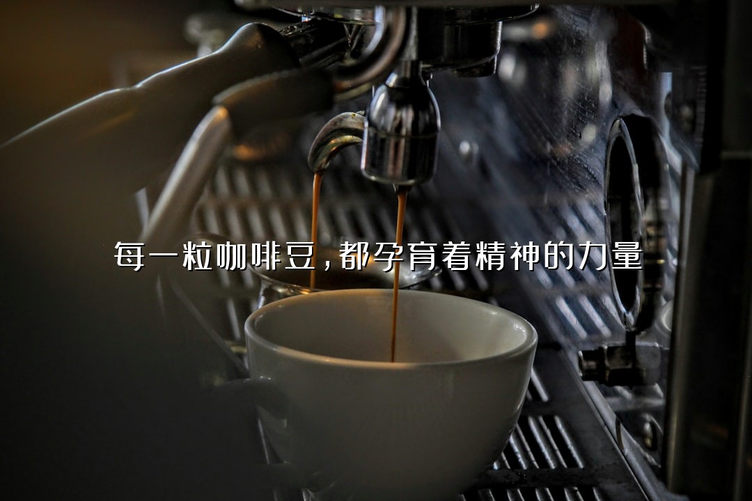 每一粒咖啡豆，都孕育着精神的力量