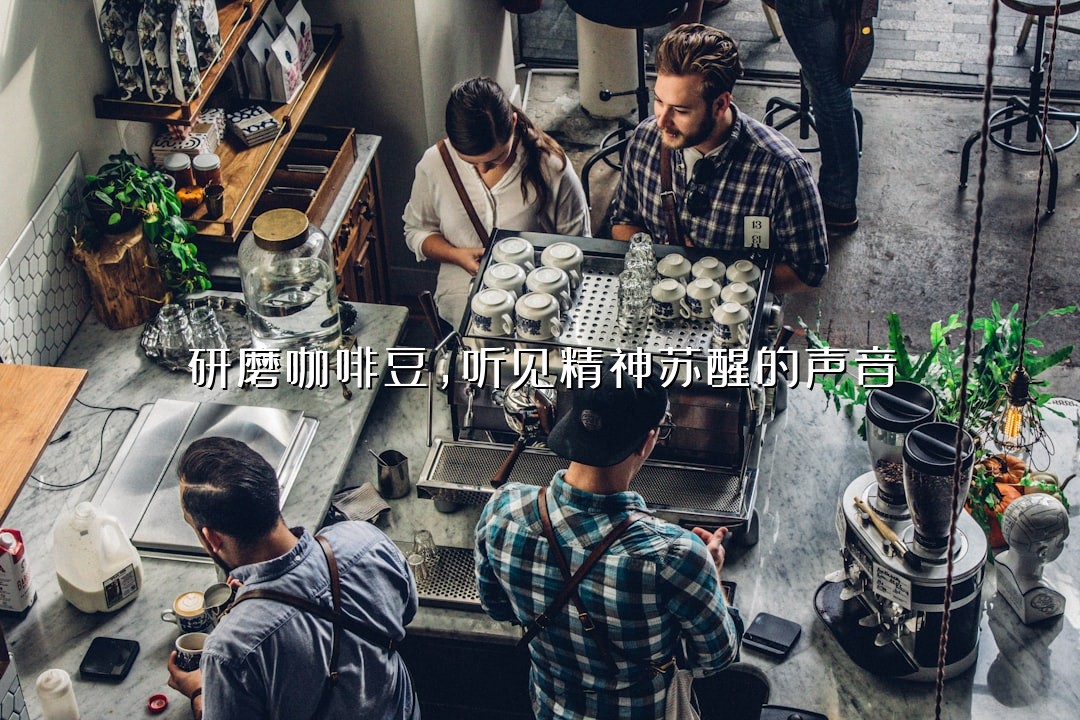 研磨咖啡豆，听见精神苏醒的声音