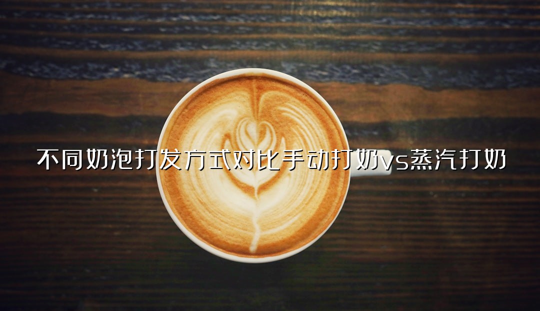 不同奶泡打发方式对比手动打奶vs蒸汽打奶