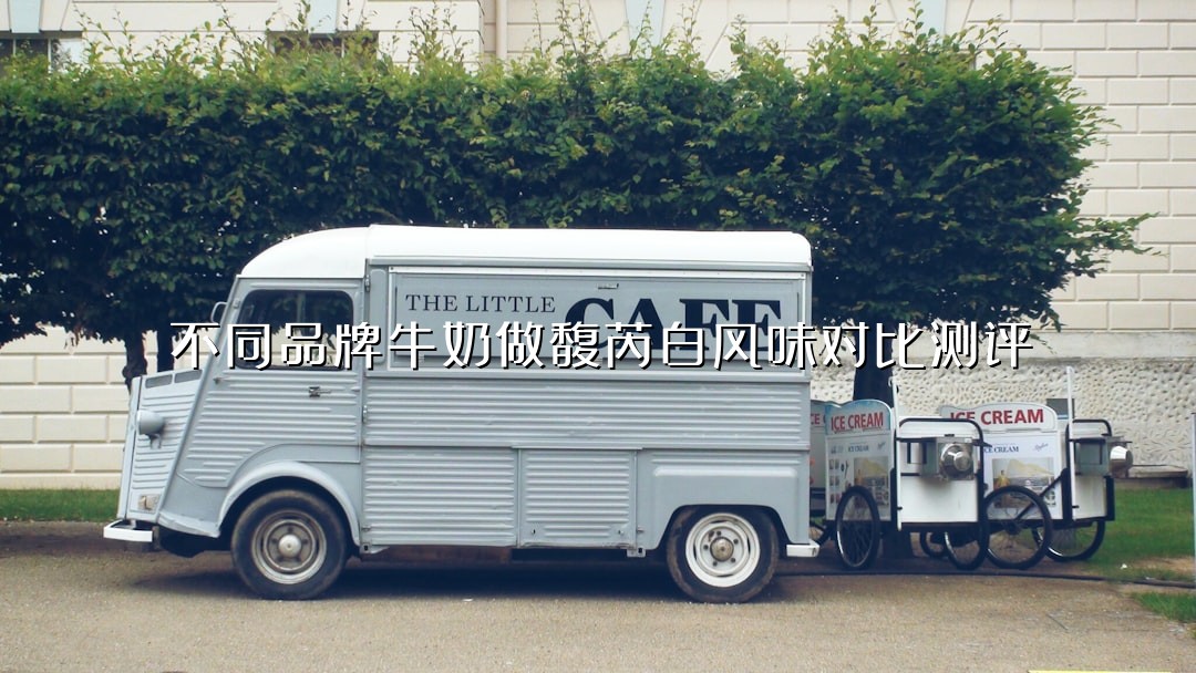 不同品牌牛奶做馥芮白风味对比测评