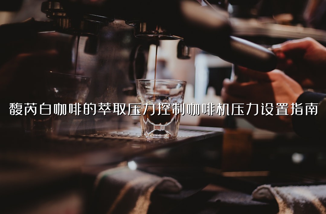 馥芮白咖啡的萃取压力控制咖啡机压力设置指南