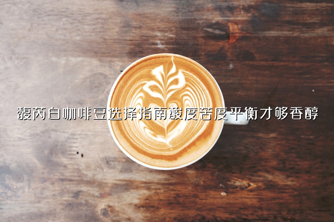 馥芮白咖啡豆选择指南酸度苦度平衡才够香醇