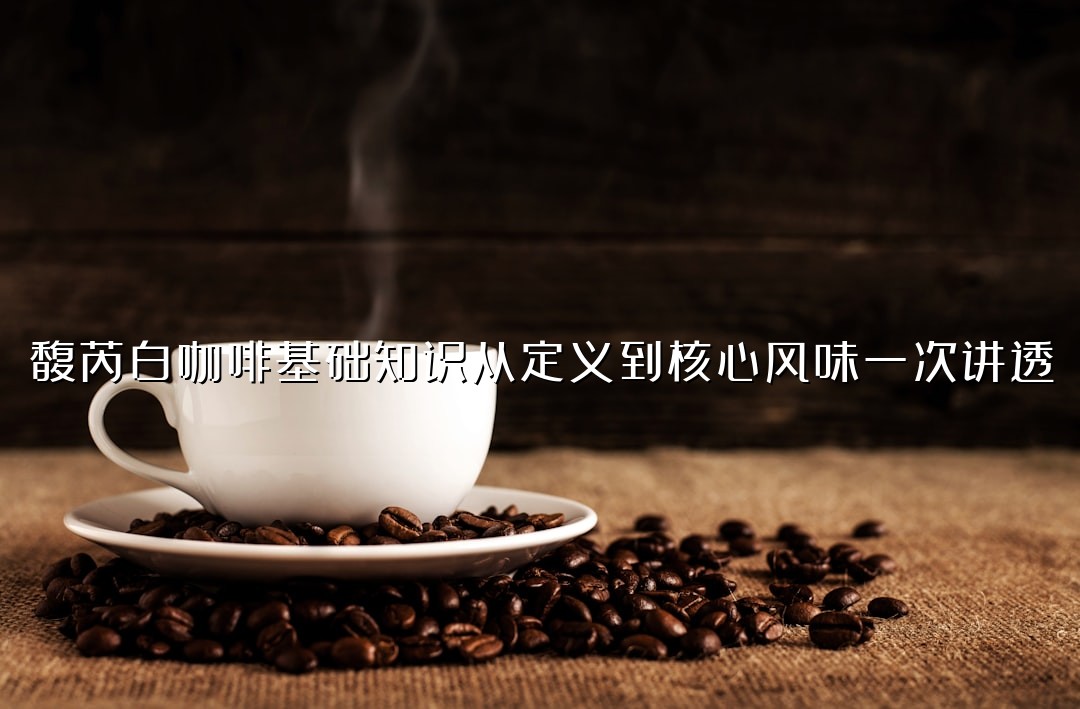 馥芮白咖啡基础知识从定义到核心风味一次讲透