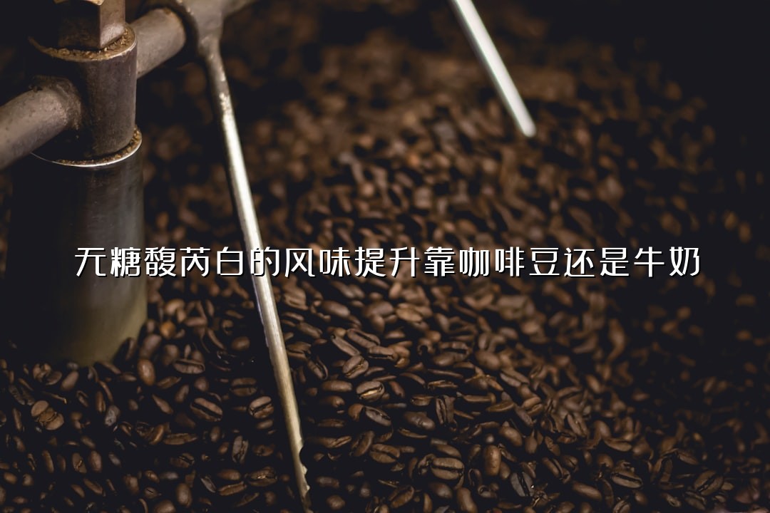 无糖馥芮白的风味提升靠咖啡豆还是牛奶