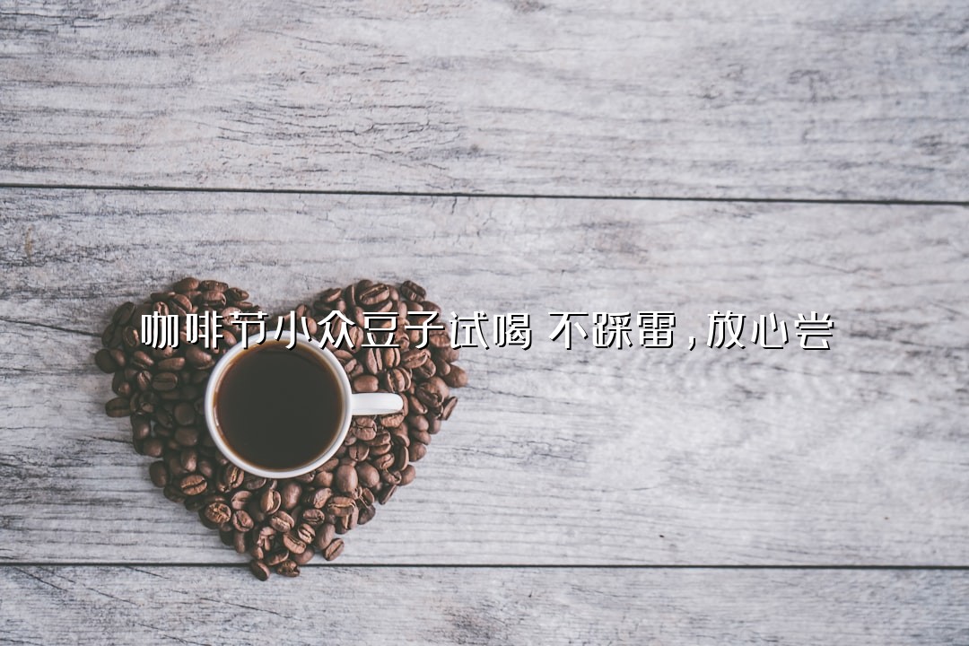 咖啡节小众豆子试喝！不踩雷，放心尝