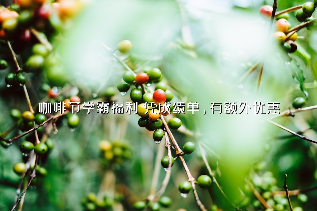 咖啡节学霸福利！凭成绩单，有额外优惠