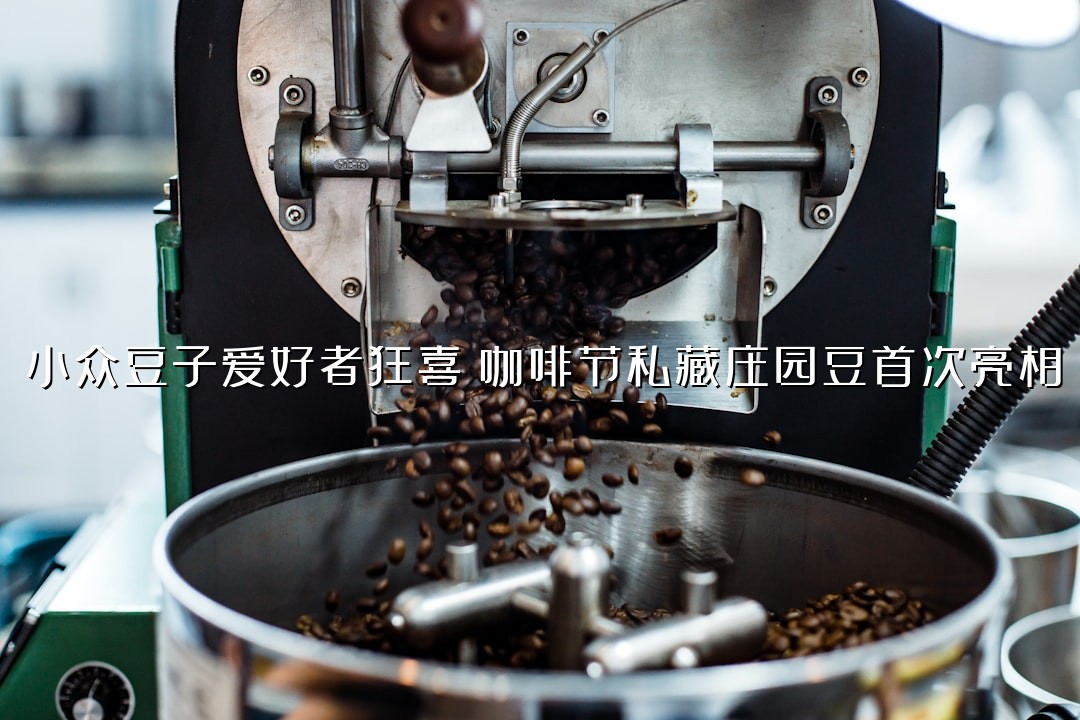 小众豆子爱好者狂喜！咖啡节私藏庄园豆首次亮相