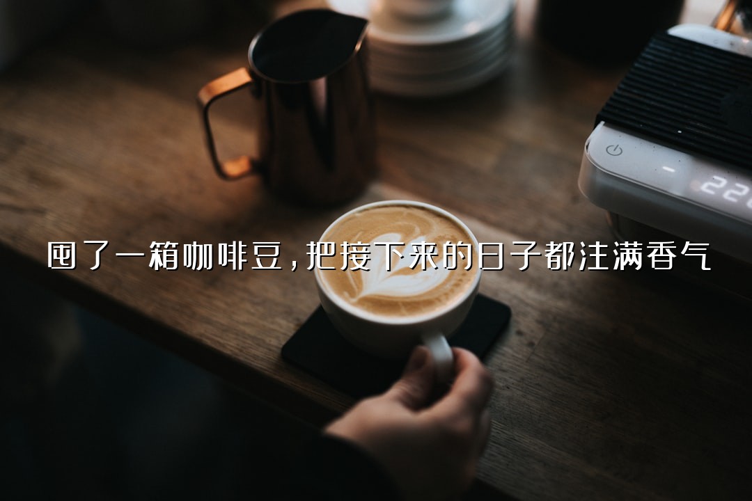 囤了一箱咖啡豆，把接下来的日子都注满香气