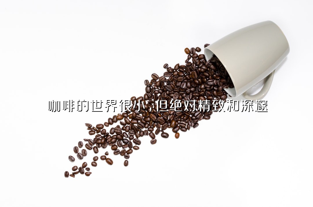 咖啡的世界很小，但绝对精致和深邃