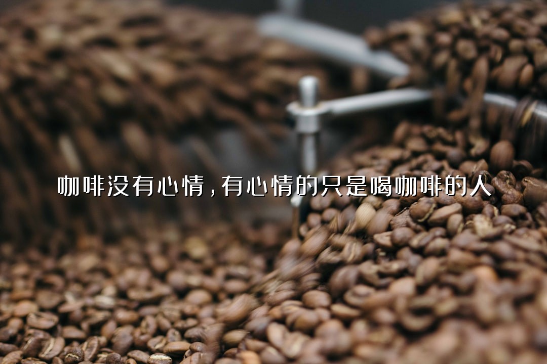 咖啡没有心情，有心情的只是喝咖啡的人
