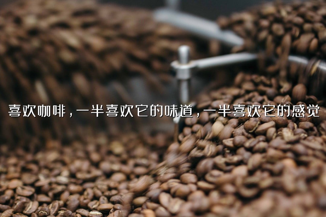 喜欢咖啡，一半喜欢它的味道，一半喜欢它的感觉