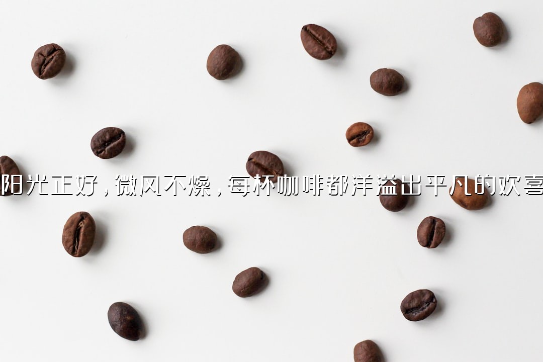 阳光正好，微风不燥，每杯咖啡都洋溢出平凡的欢喜