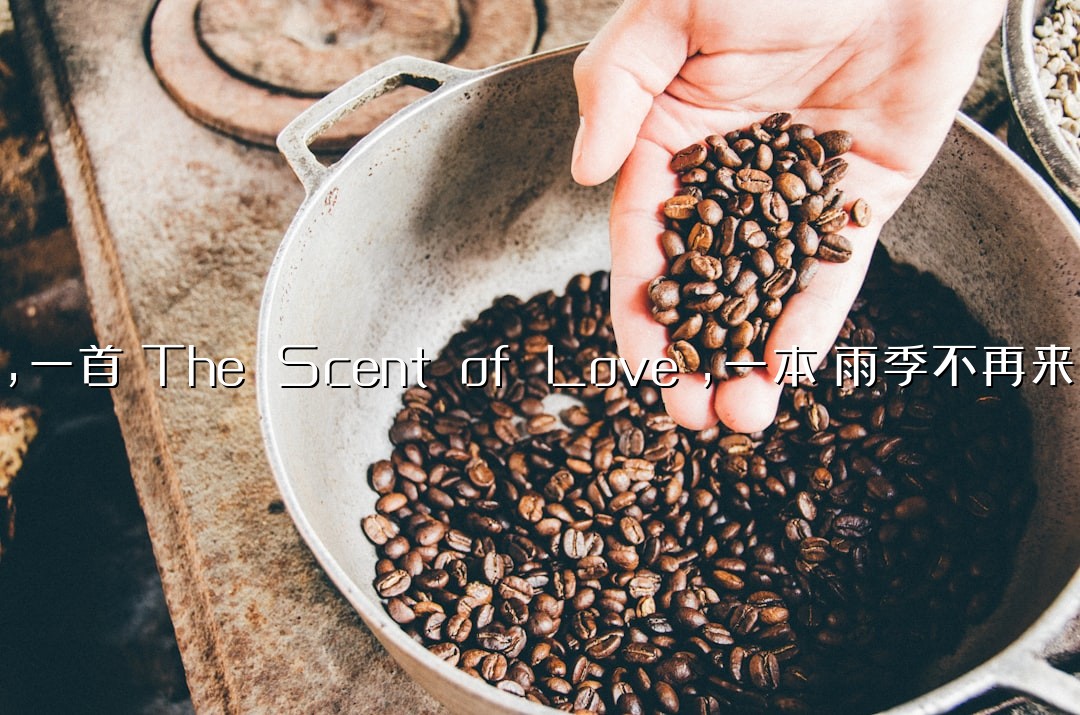 一个人，一杯咖啡，一首《The Scent of Love》，一本《雨季不再来》，偷得浮生半日闲