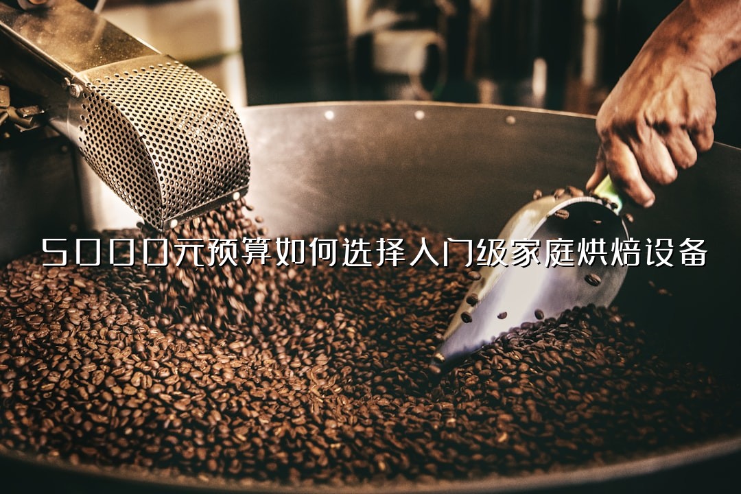 5000元预算如何选择入门级家庭烘焙设备