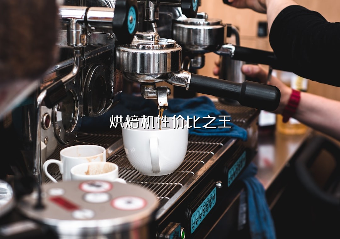 烘焙机性价比之王