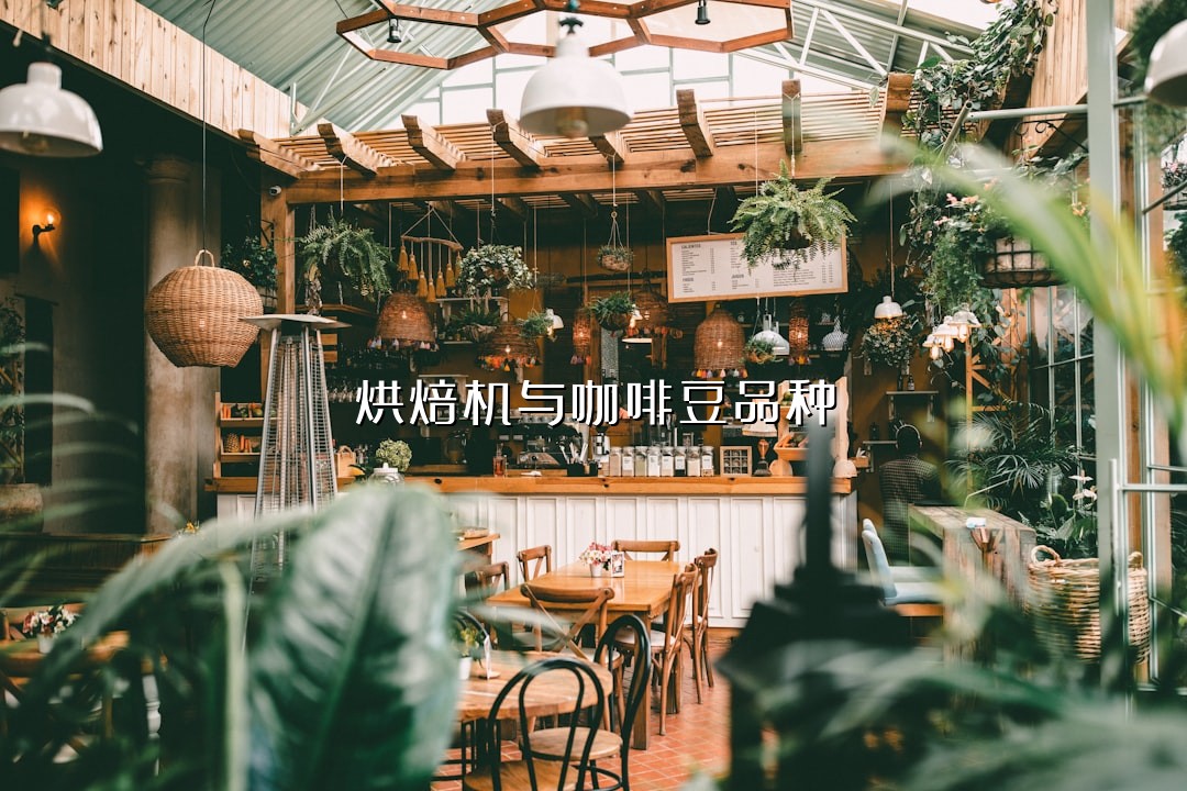 烘焙机与咖啡豆品种