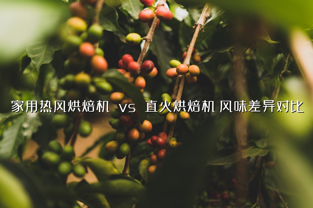 家用热风烘焙机 vs 直火烘焙机:风味差异对比