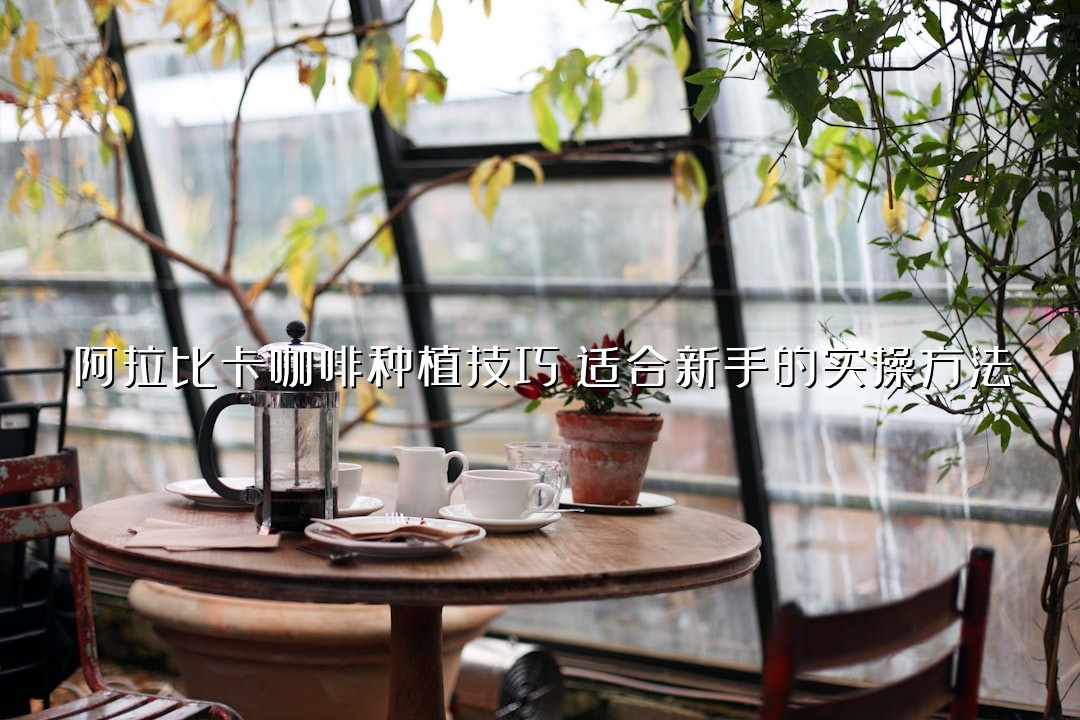 阿拉比卡咖啡种植技巧：适合新手的实操方法