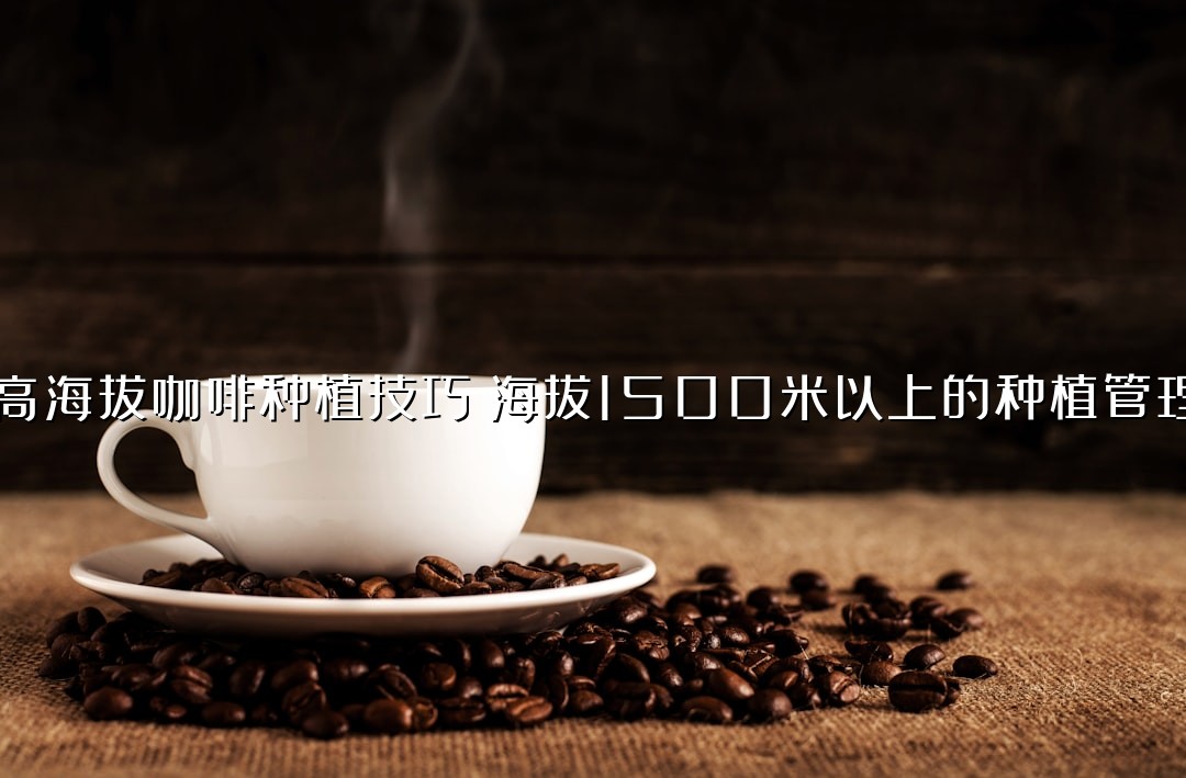 高海拔咖啡种植技巧：海拔1500米以上的种植管理