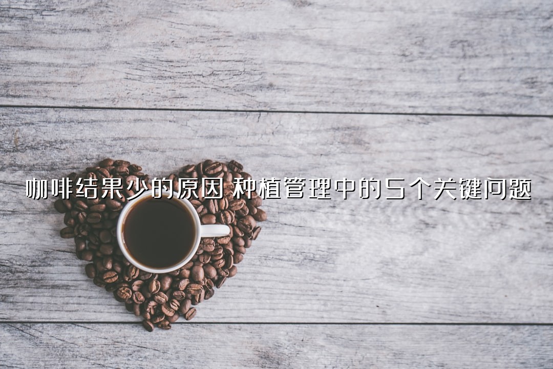 咖啡结果少的原因：种植管理中的5个关键问题