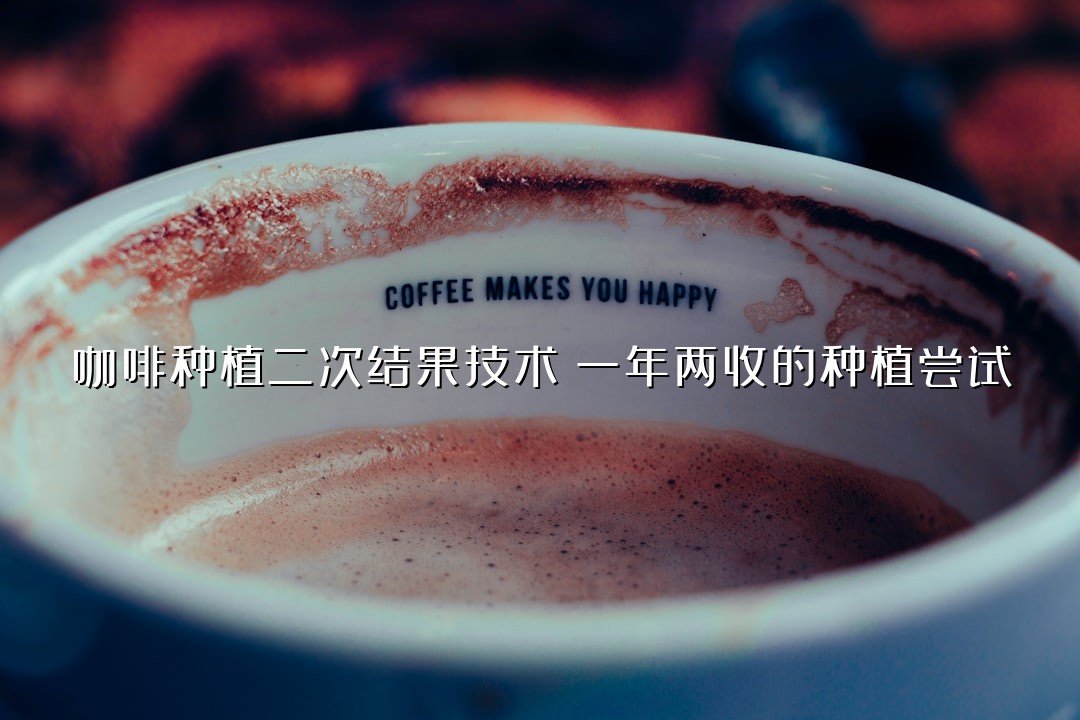 咖啡种植二次结果技术：一年两收的种植尝试