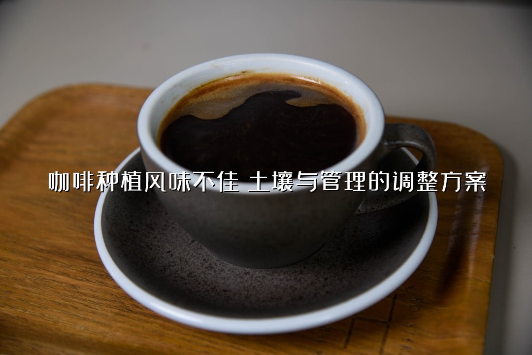 咖啡种植风味不佳？土壤与管理的调整方案