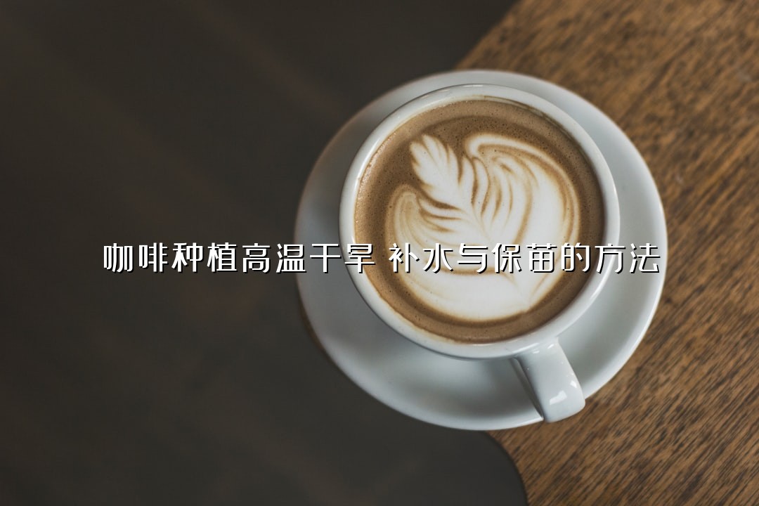 咖啡种植高温干旱：补水与保苗的方法