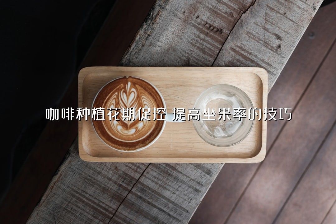 咖啡种植花期促控：提高坐果率的技巧