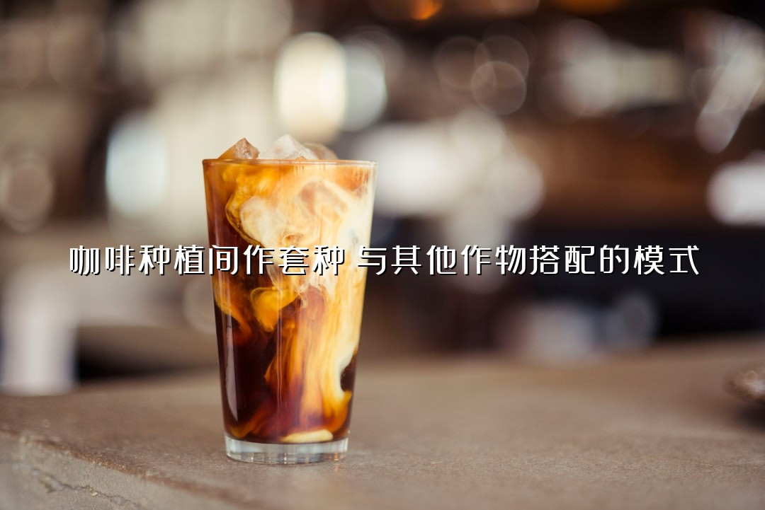 咖啡种植间作套种：与其他作物搭配的模式