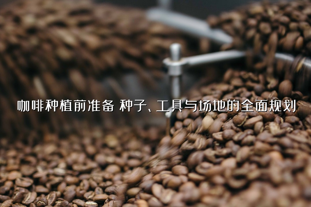 咖啡种植前准备：种子、工具与场地的全面规划