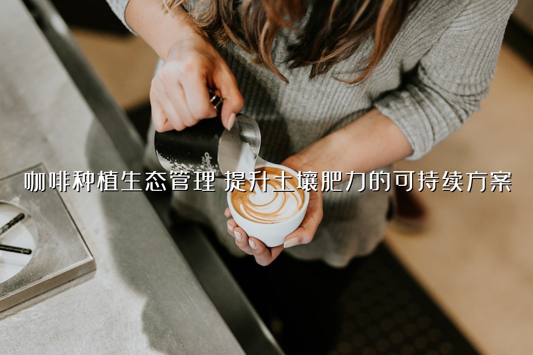 咖啡种植生态管理：提升土壤肥力的可持续方案