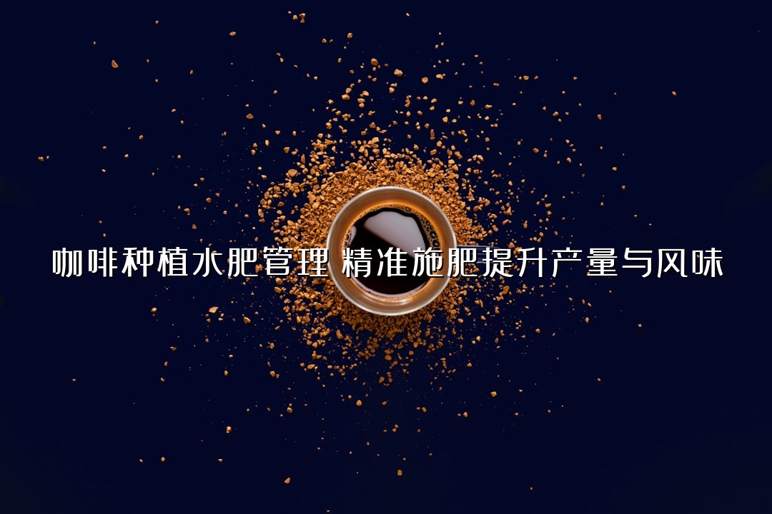 咖啡种植水肥管理：精准施肥提升产量与风味